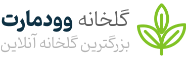 حاج میوه